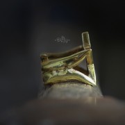 IMG_3718