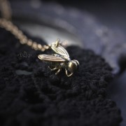 IMG_0821