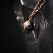 IMG_3489