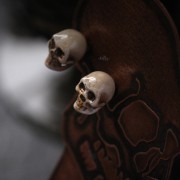 IMG_5551