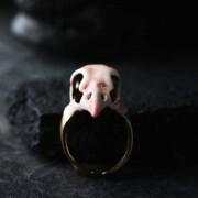 Defy Painted Ring Pink Bird Skull2