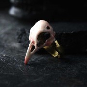 Defy Painted Ring Pink Bird Skull3