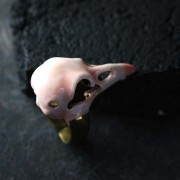 Defy Painted Ring Pink Bird Skull4